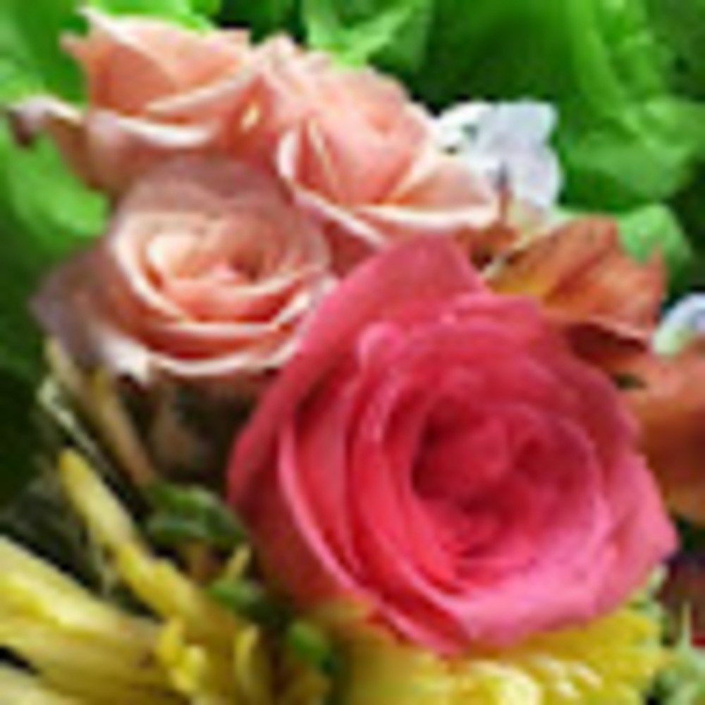 Meet your Posher, Mojo